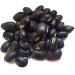 lazyHardia Kaunch Beej Black kaunch Beej 400 gm White Kaunch Beej 400 gm Combo Pack 800 Gram - Buy Online on GoSupps.com