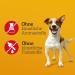 Buy Pedigree Dog Snacks Mega Box for Small Dogs - Tasty Minis & Giant Bones | International Shipping - Buy Online on GoSupps.com