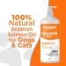 Poochiful 1 Litre Salmon Oil for Dogs. Fish Oil for Dogs Cats Horses Ferret & Pets. Purest Omega 3 6 9 Salmon Oil Cats. Food Supplements for Itchy Skin & Coat. Dog Vitamins and Supplements 1000 ml - Buy Online on GoSupps.com