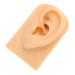 Healeved Silicone Ear Model Simulation Ear Props Artificial Ear Model Hearing Display Prop Fake Ear Model Ear Presentation Model Human Body Parts Silicone Piercing Teaching Model 7.8x4.9cm As Shown