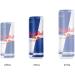 Red Bull Energy Drink 355 ml (24 pack) 355ml (Pack of 24) - Buy Online on GoSupps.com