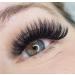 2100 Promade Volume Fans | Professional Eyelash Extensions Kit | 21 in 1 Box | C CC & D Curls | 9-15mm Lengths | Ideal for Beginner Lash Artists - International Shipping Available - Buy Online on GoSupps.com