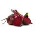 Fresh Beetroot from Germany | Buy 1000g Tasteless Beetroot Online - International Shipping Available - Buy Online on GoSupps.com