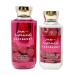 Bath and Body Work SUN-RIPENED RASPBERRY Duo Gift Set - Shower Gel and Body Lotion - Full Size Red