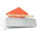 Teeth Whitening Shade Guide - 16 Colors Tooth Color Chart - Buy Online on GoSupps.com