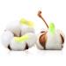 Hearing Protection Earplugs for Sleep & Study | Anti-Noise Snoring Relief | 6 Pairs Size A - Ideal for Ladies & Students - Buy Online on GoSupps.com