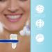 Gleavi 24 StK Double-Headed Toothbrush - Best Hard Toothbrush for Adults | Travel Holder for False Teeth & Prosthetic Cleaning | Word of Mouth Recommended - Buy Online on GoSupps.com