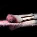 20pcs Professional Female Makeup Brush Set for Face, Eyeshadow, Eyebrow, Lip - White - Buy Online on GoSupps.com