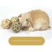 Camiter 9-Piece Chewing Toy Set for Small Animals | Hamsters Rabbits Guinea Pigs & More - Durable Chew Cases & Cube Toys - Buy Online on GoSupps.com