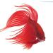 API Betta Fish Food - Premium Nutrition for Vibrant Betta Fish - Buy Online on GoSupps.com