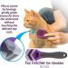 Posh Pooch Deshedding Cat Brush Tool Bladeless Deshedding Malting Cat Deshedder Kitten Brush Tool To Remove Loose Hair & Help Cat Shedding & Malting Safe Alternative to Sharp Blades - Buy Online on GoSupps.com