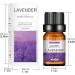 Water-Soluble Aromatherapy Diffuser for Essential Oils | 3 Pack of 10ml | 19 Aroma Types | FreeSie Air Humidifier - Buy Online on GoSupps.com