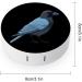 Crow Contact Lens Travel Kit | Portable Cute Contact Box with Mirror for Daily Outdoor Use - Shop Now - Buy Online on GoSupps.com