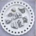 Gemstone Natural Quartz Crystal White howlite Rough raw Crystal Stone for Garden Decoration 8pcs Full of Texture - Buy Online on GoSupps.com