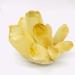 Natural Crystal Rough 1PC Natural Yellow Phantom Ghost Quartz Crystal Cluster Stone Specimen 400G-1050G Suitable for Furniture Decoration Home Goods (Color : 1pc 400g-500g)