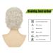 RicHyun Womens Short White Curly Wig - Synthetic Heat Resistant Hair for Daily and Party Wear - Buy Online on GoSupps.com