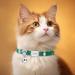 Personalized Dark Green Cat Collar with Name & Phone Number - Engraved with Bell | International Shipping - Buy Online on GoSupps.com