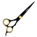 Professional Barber Razor Edge Hair Cutting Scissors/Shears TRISBRO Trimming Scissors for Hair 6.5 Inch Stainless Steel Hairdressing Styling Trimming Shears - Adjustable Screw (Black)