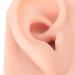 Silicone Ear Model Pair - Human Ear Display Teaching Aid - Fake Ear Practice Piercings Tools - Buy Online on GoSupps.com