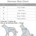 Small Dogs No Pull Harness | Reflective Breathable Mesh | Step-In Vest with Leash | Adjustable for Walking & Training | Blue - Buy Online on GoSupps.com