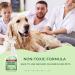 Hygea Natural Extra Strength Bed Bug Travel Spray 3 oz - TSA Approved - Fast Acting Protection for Hotels, Suitcase, Backpacks - Child & Pet Safe - Non-Toxic & Odorless - 1 Count - Buy Online on GoSupps.com
