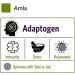 Organic India Amla Fruit Powder 16 oz - Pure, Natural Superfood for Health Boost - Buy Online on GoSupps.com