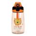 MICHLEY 16 oz Water Bottle With Straw Sippy Cups for Toddlers 3+ Years Old Kid Cups(Orange lion)