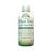 Garden Greens Wheat Grass Liquid with Real Ginger Extract, Nature's Perfect Superfood, 32 servings