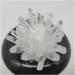 1pcs Natural White Crystal Cluster Quartz Crystal Health Reiki Stones Crystal Point Specimen Home Decoration Raw Crysta Crystal Cluster 800-900g - Buy Online on GoSupps.com