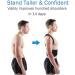 Posture Corrector Brace for Men & Women | Adjustable Back Support & Clavicle Trainer - Stop Slouching & Hunching (Large - Buy Online on GoSupps.com