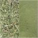 AOZA Sree Madhava Sai Organics Powder Nilavembu/Kalmegh/Siriyanangai/Andrographis paniculata - 100 Grams - Buy Online on GoSupps.com