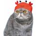 Kitan Club Cat Cap - Pet Hat Blind Box Includes 1 of 6 Cute Styles - Soft  Comfortable - Authentic Japanese Kawaii Design - Animal-Safe Materials  Premium Quality (Aquarium) - Buy Online on GoSupps.com