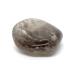 Smoky Quartz Medium Crystal Tumbled Stone - 1 Pc