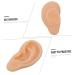FOMIYES Silicone Ear Practice Model - Realistic Fake Ears for Teaching & Medical Training | Ideal for Simulated Ear Practice - Buy Online on GoSupps.com