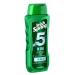 Irish-Spring 5-in-1 Shampoo Conditioner Body Wash Face Wash and Deodorizer 18 oz (Pack of 4) - Buy Online on GoSupps.com