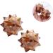 Gatuida Muscle Massage Device - Yoga Massage Ball & Trigger Point Roller for Myofascial Release - Ideal for Running & Recovery - Buy Online on GoSupps.com