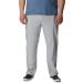 Columbia Men's Terminal Tackle Pant Cool Grey 42W x 30L - Big | High-Performance Fishing Pants - Buy Online on GoSupps.com