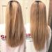 Zenagen Evolve Professional Accelerating Shampoo Treatment 6 fl oz - Hair Growth Formula - Buy Online on GoSupps.com