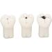 4-Fold Dental Caries Model - Synthetic Resin Oral Care Training Tool for Students | Safe & Realistic Simulation - Buy Online on GoSupps.com