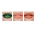 Jeffree Star Cosmetics Phychedelic Circus 3 Pcs Liquid Lipstick Circus Peanut MIndbender & Lizard Jewel