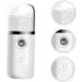 Ipetboom Hydrating Instrument Portable Face Steamer Nano Facial Mister Spray Bottle Spa - Buy Online on GoSupps.com
