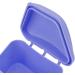 Buy Waterproof Denture Box - Portable Orthodontic Plastic Container (Purple) for Home Use - Secure Locking Design | International Shipping Available - Buy Online on GoSupps.com
