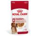 ROYAL CANIN Medium Ageing 10+ Senior in Gravy Wet Dog Food 40 x 140g - Buy Online on GoSupps.com