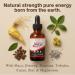 Biomix Energy Vital Drops+ | Natural Vegan Liquid Supplement for Energy Vitality & Daily Wellness | Fast Absorption Formula with Maca Ginseng Tribulus Magnesium & Zinc | Sugar-Free | 30 ml - Buy Online on GoSupps.com