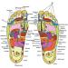 RSGM Spring Acupressure Sandals - Magnetic Therapy for Yoga & Foot Relaxation - Buy Online on GoSupps.com