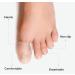 10 Pcs Big Toe Cap Breathable Toe Protector Toe Cover Sleeves with Holes Provides Relief from Missing or Ingrown Toenails Cracked Big Toe Corns Blisters Hammer Toes Toe Rubber Reduce Friction - Buy Online on GoSupps.com