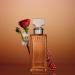 Calvin Klein Eternity Eau de Parfum Intense Women's Floral Perfume With Notes of Turkish Rose Absolute Pepper Sichuan & Jasmine Absolute Long Lasting Fragrance 0.33 Fl Oz (Pack of 1) - Buy Online on GoSupps.com