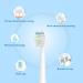 WuYan Toothbrush Brush Heads - Compatible Replacement Heads for Superior Oral Care | International Shipping Available - Buy Online on GoSupps.com
