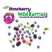 RAWBERRY Wild Berries Nut Bar | No Added Sugar Gluten-Free Vegan Snack (15 x 24g) - Healthy International Shipping - Buy Online on GoSupps.com