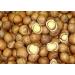 3 Pound (1362 grams) Stir-fried hazelnut Grade A from Northeast China.